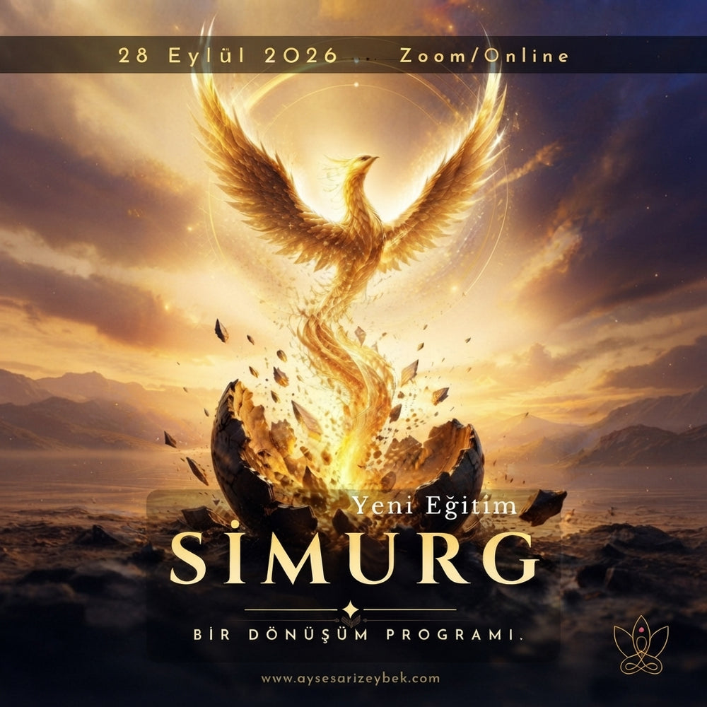 Simurg'un Kanatları -Dönüşüm Programı