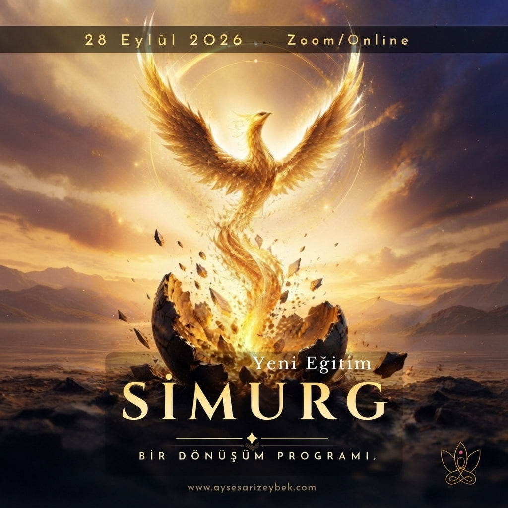 Simurg'un Kanatları -Dönüşüm Programı